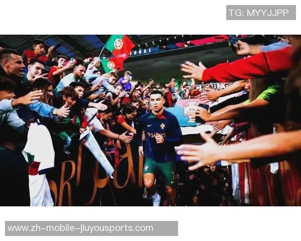 努力拼搏成就辉煌足球明星背后的奋斗故事与传奇人生